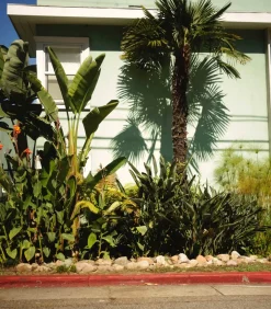 Lola James Harper Bougie #8 The Red Garden 190g* Bougies Parfumées