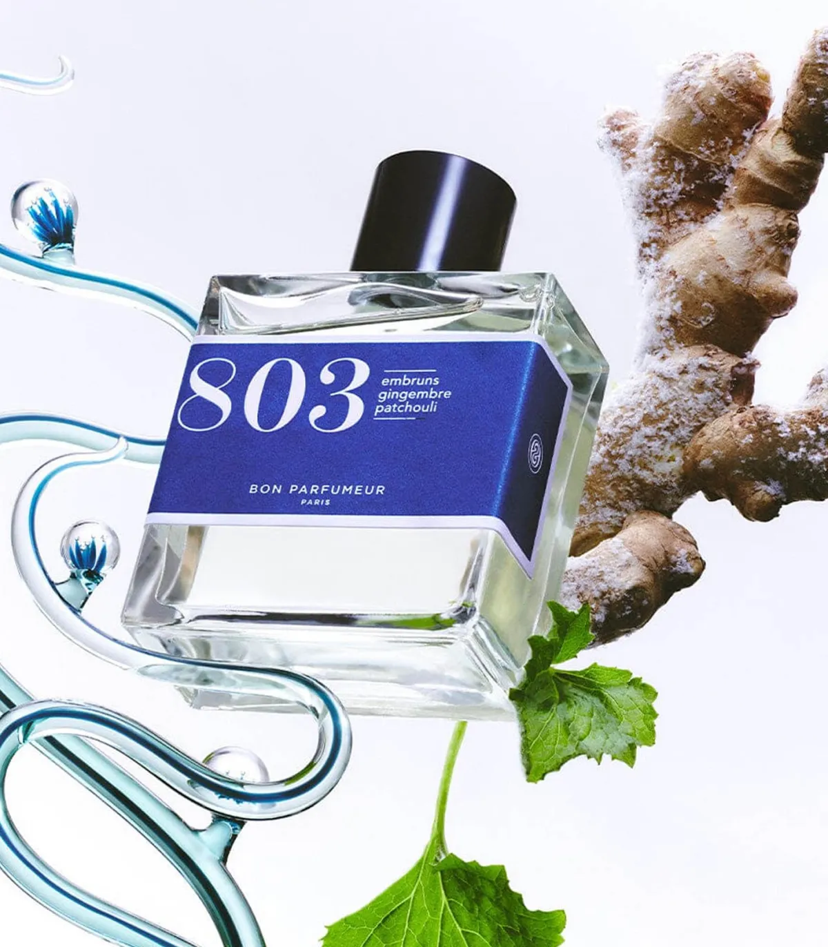 Bon Parfumeur Eau de Parfum 803 Embruns, Gingembre, Patchouli 100 ml*Femme Eaux De Parfum|Eaux De Parfum