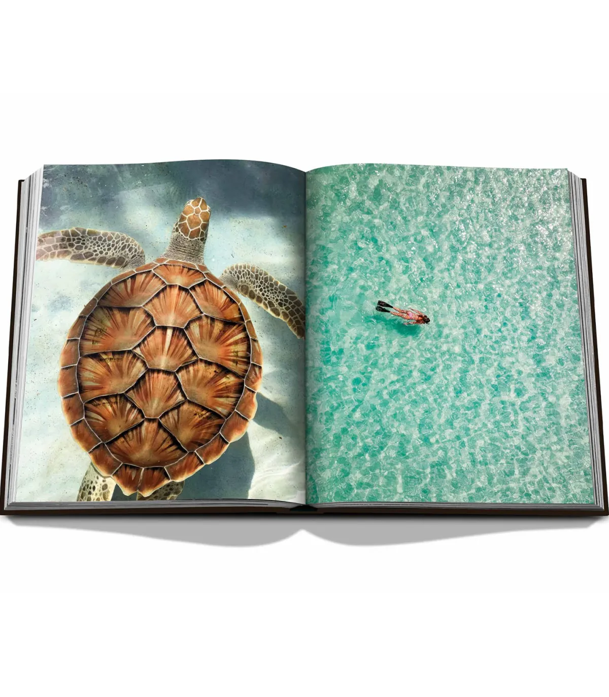 Assouline Livre Jamaica Vibes* Beaux Livres