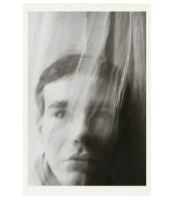 Taschen Livre Seven Illustrated Books, 1952-1959 - Andy Warhol* Beaux Livres