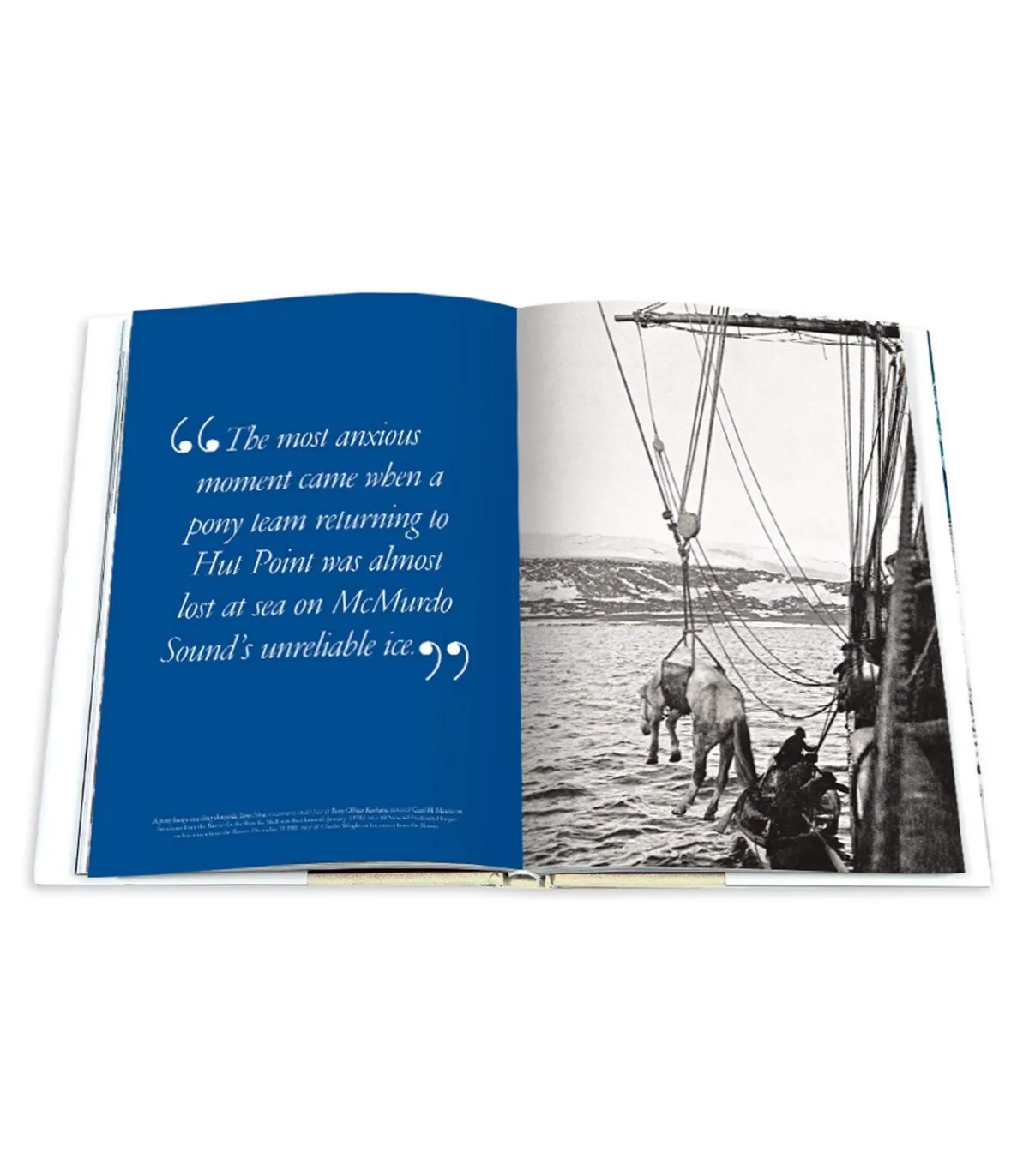 Assouline Livre South Pole : The British Antarctic Expedition 1910* Beaux Livres