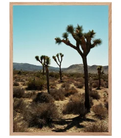 Lola James Harper Tableau avec cadre "Joshua Tree" 60x80cm* Affiches & Tableaux